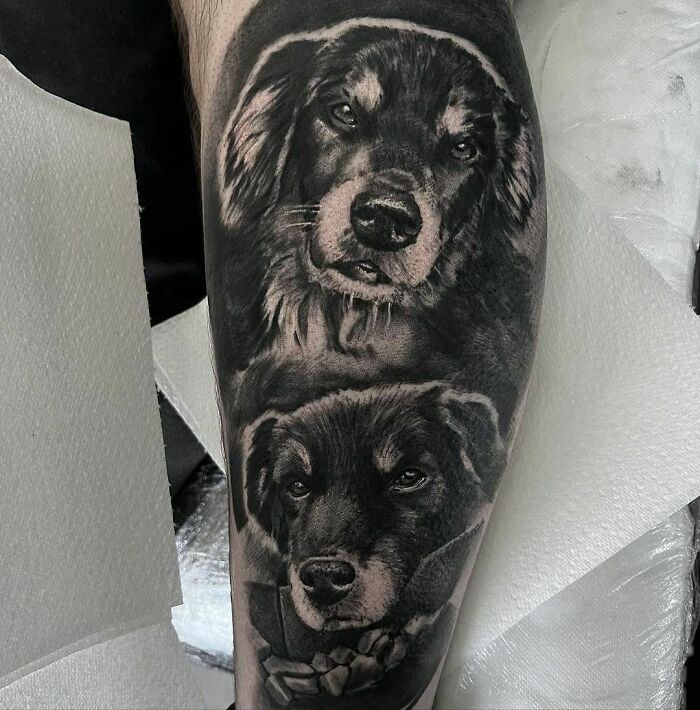 Pet tattoos of two realistic dogs on a person's arm, showcasing intricate details and shading.