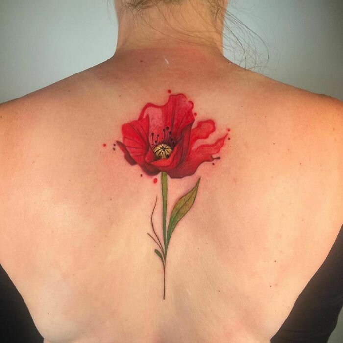 Watercolor tattoo of a vibrant red poppy on a person's back, blending art and nature beautifully.