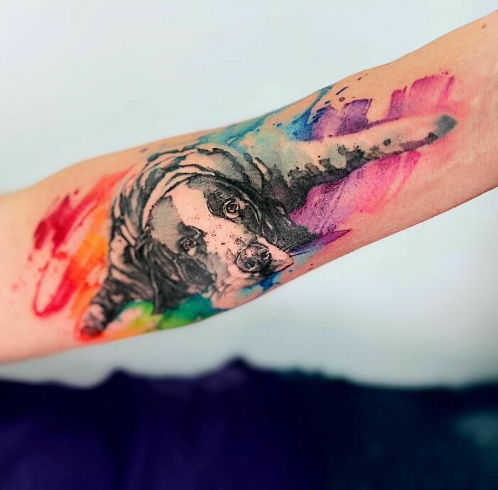 Watercolor tattoo of a dog's face with vibrant rainbow splashes on an arm.