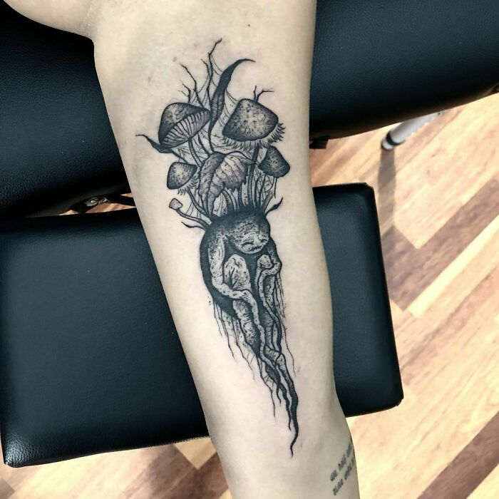 Harry Potter tattoo of a mandrake and mushrooms on forearm.