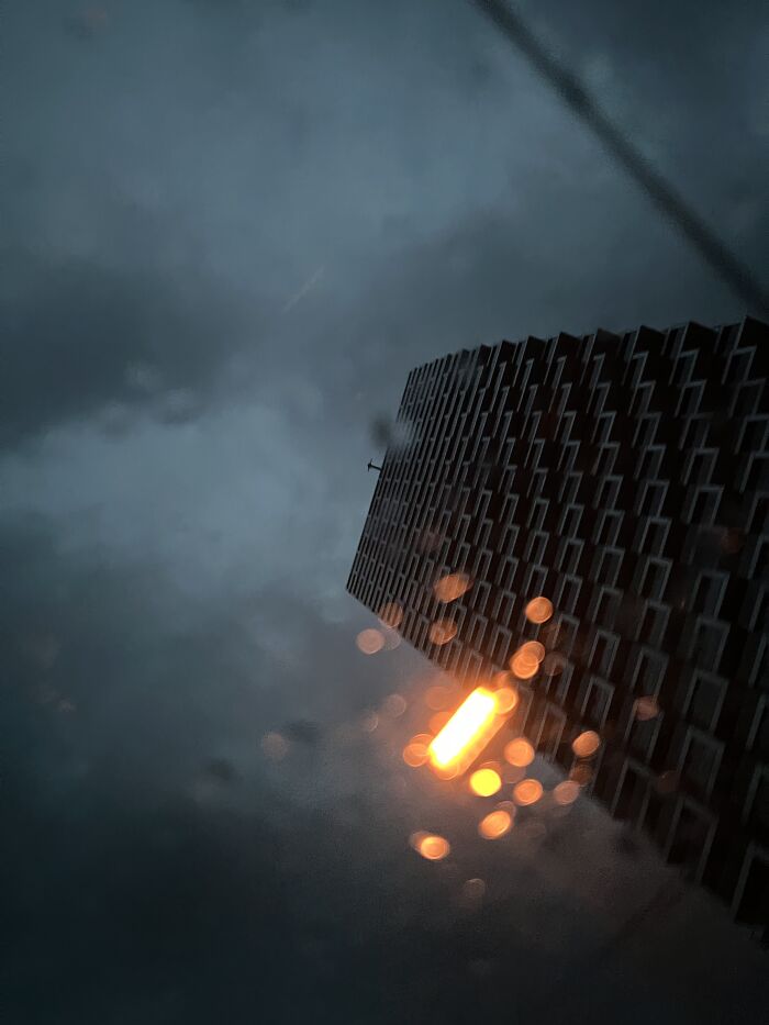 Through The Roof Of My Car In Portland, Oregon