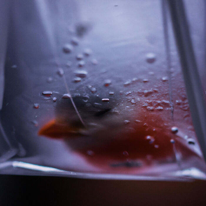 I Made These Pieces With Ai To Raise Awareness About Environmental Damage (12 Pics)