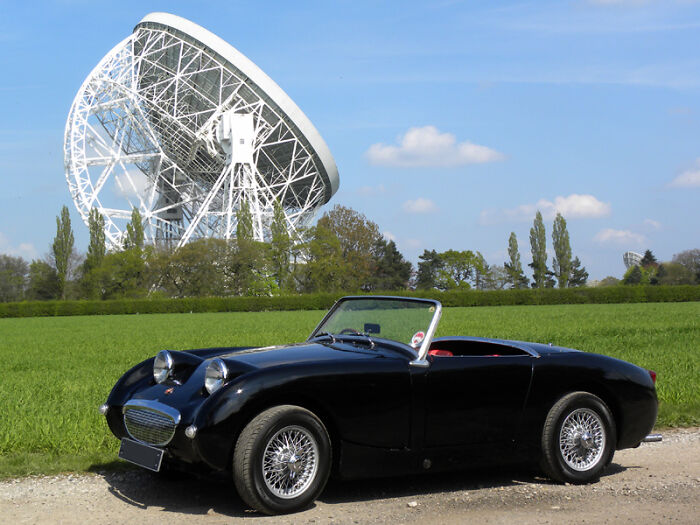 Does This Count? His Name Is Froggy And He Is A Frogeyed Sprite