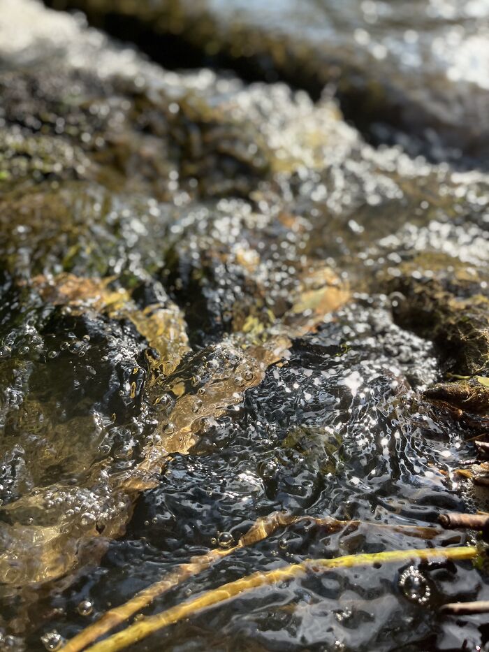 Pictures I’ve Taken Recently (10 Pics)