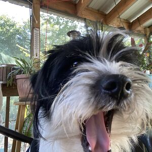 vernonheflin2012 avatar