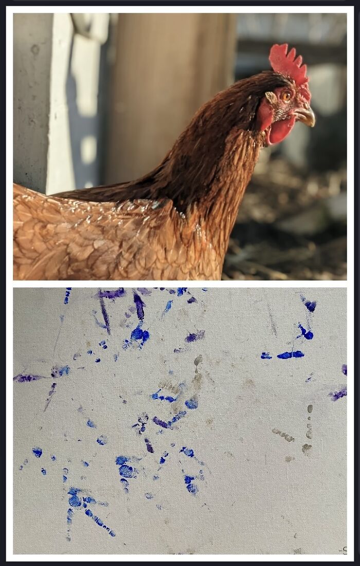 Her Name Is Sonia Sotomayor: Likes Treats, Sarcastic, And Very Classy