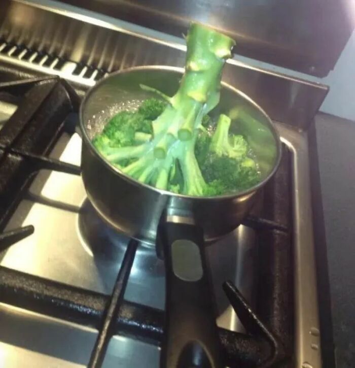 Biggest Kitchen Fails (20 Pics)