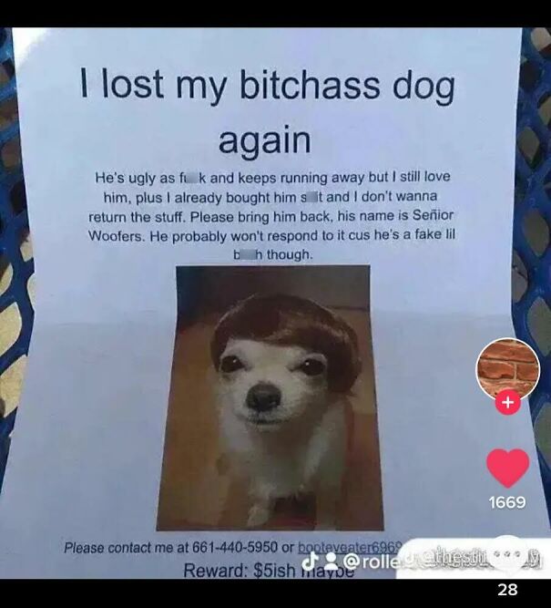 I Have Better But They’ll Probably Just Get Taken Down