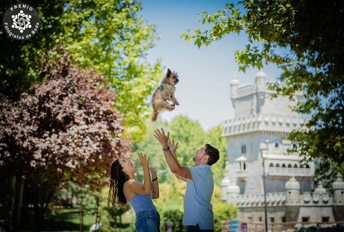 "Vuelo de mascotas" por Antonio Montesinos