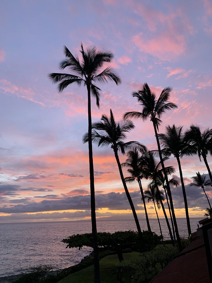 Sunset In Maui