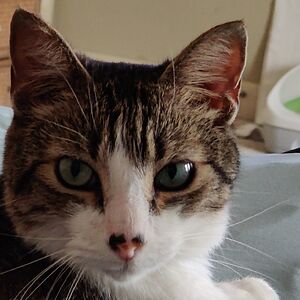 kilburnjh2019 avatar