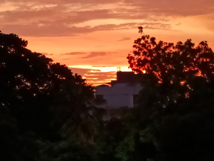 The View Outside My Home