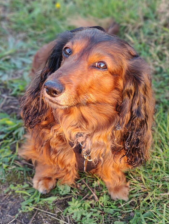 Taken The Last Night We Had Our Beloved Senior Phillip