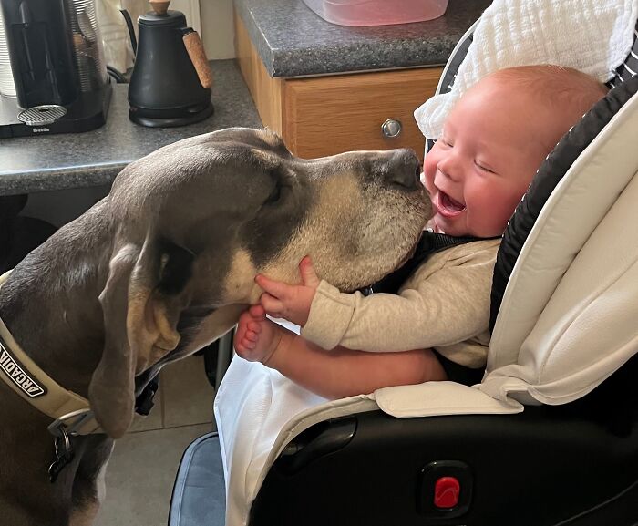 Lucas And Best Friend