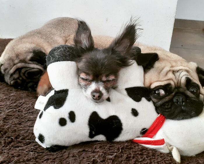 Terry - 14 Yo (Center) With Sasha (Left) And Akira (Right)