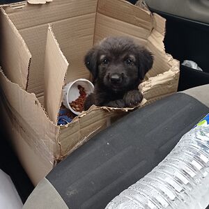 mica0987654321 avatar