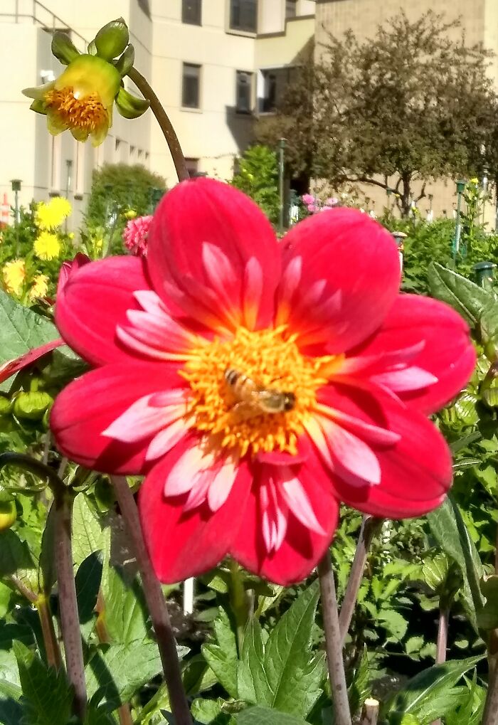 I Took These At The Va What A Beautiful Place To Settle Down For A Nap!!