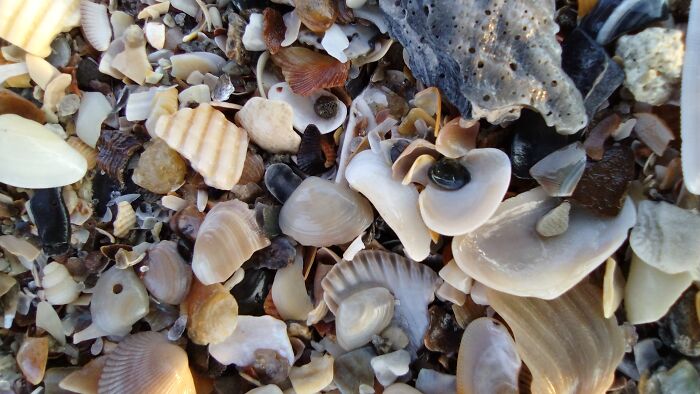 Sand In Nc With A Macro Lense