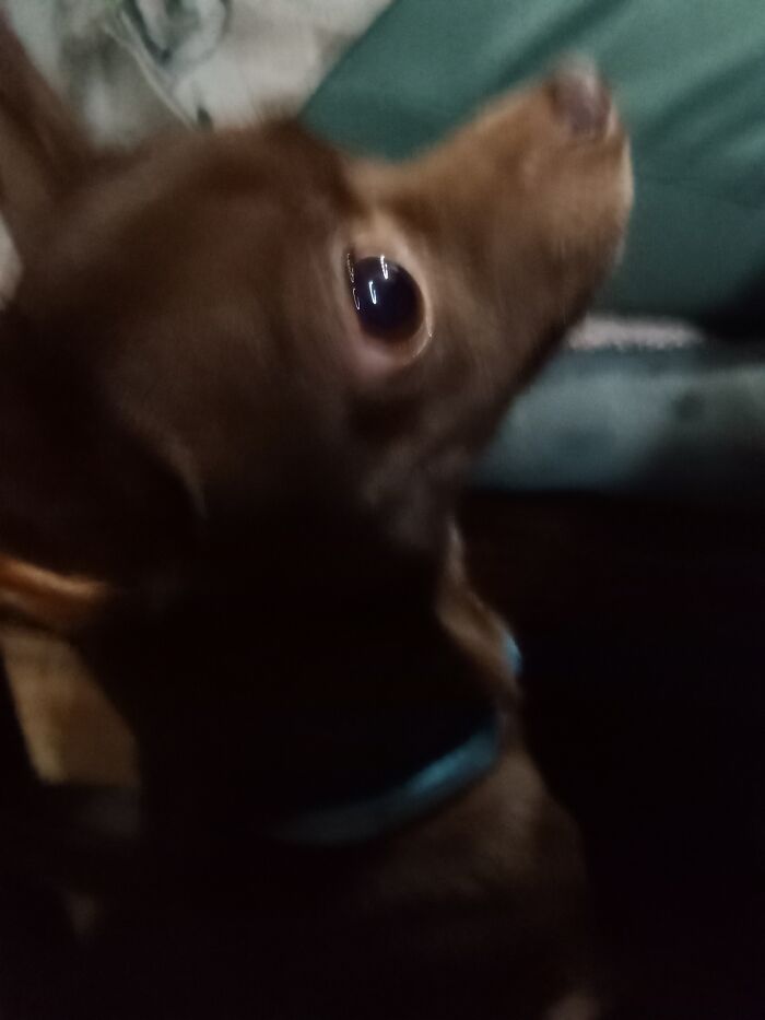 It All Started Because I Was Going Through My Emails. .(Her Names Coco Btw)