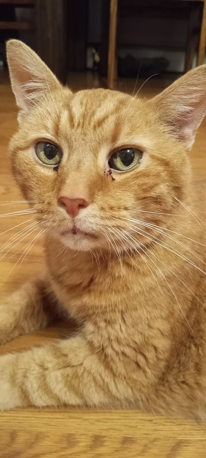 My Precious Boy Who Passed Away Last Week 💙😥