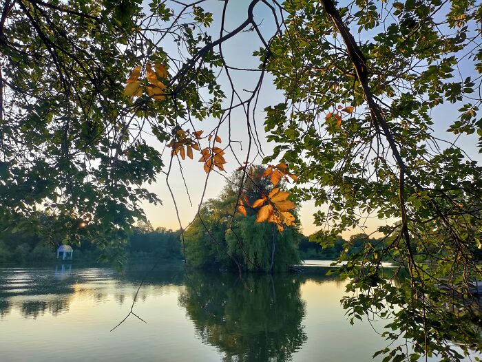 Powderhorn Park In Late Summer