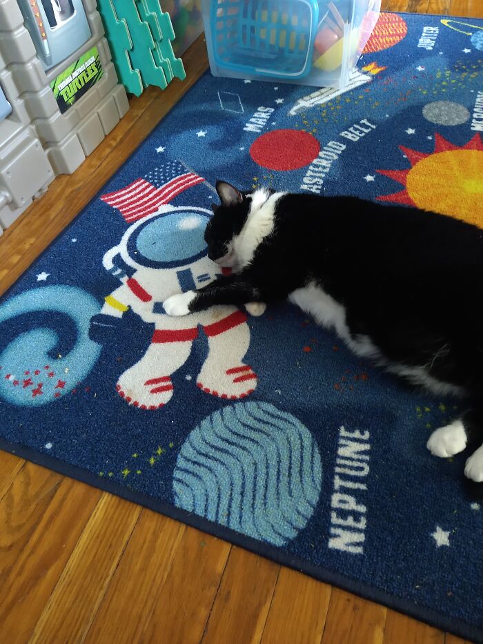 Starla Found A New Snuggle Buddy