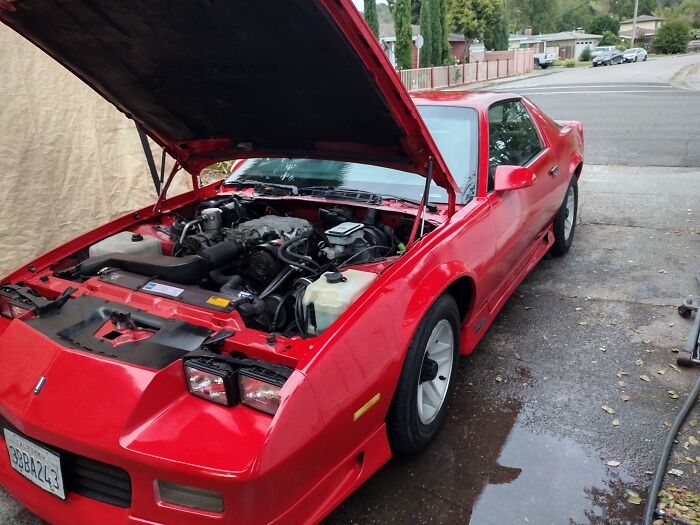 Detailing Car I Painted In My Driveway Yesterday
