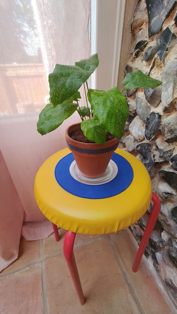 Baby Network, One Of My Faves!