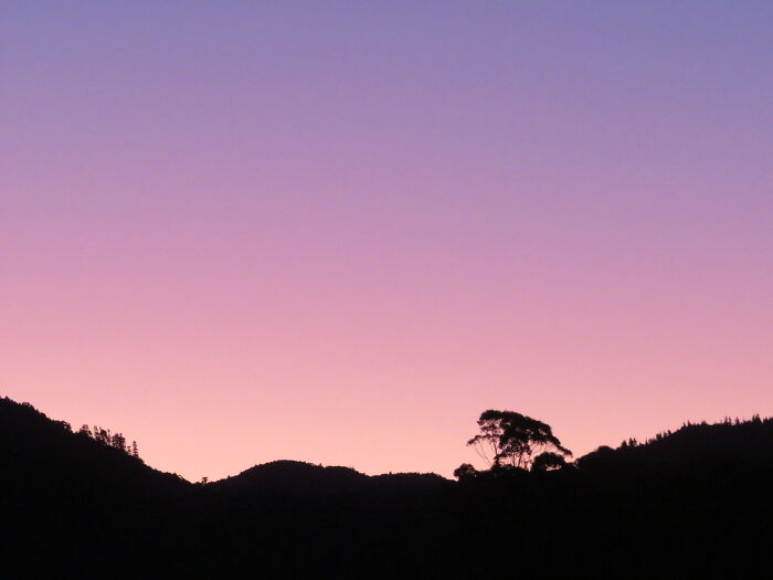 View From My Kitchen Window