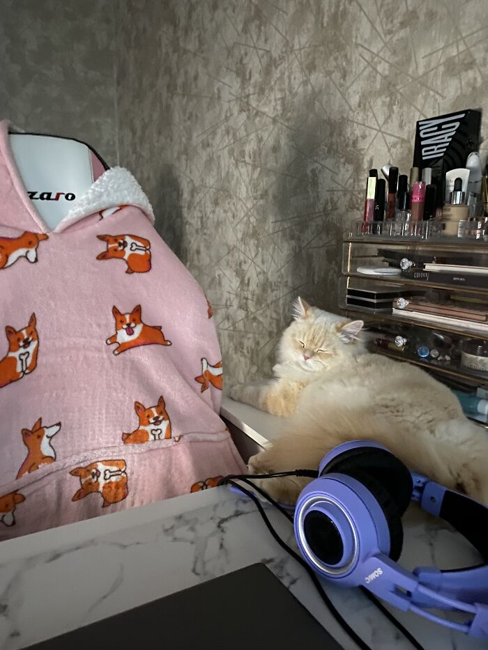 It's Actually My Oodie (That's Resting Over The Chair To Prevent The Cat From Scratching It)