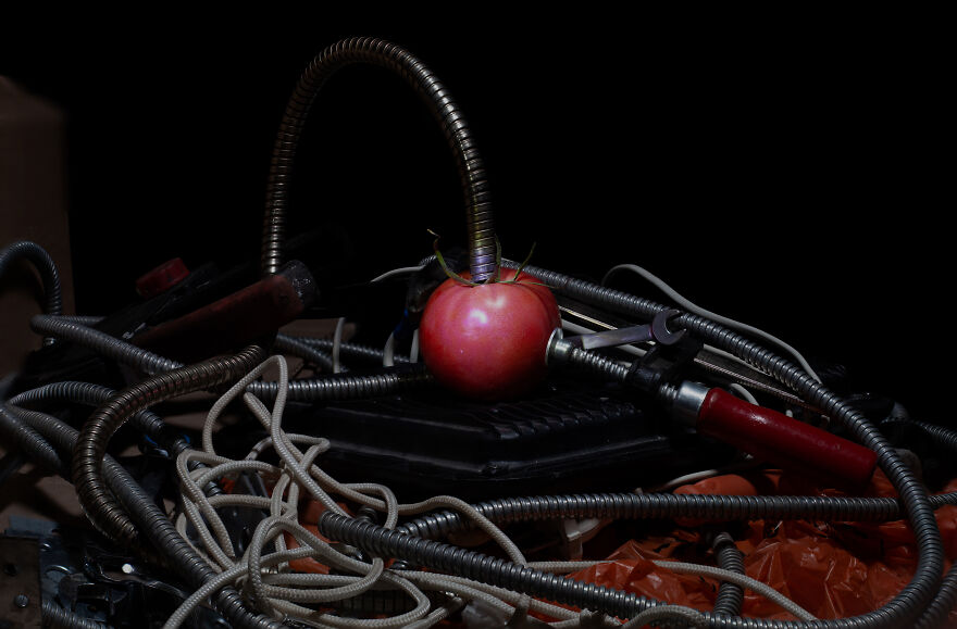 Cyberpunk With Vegetables