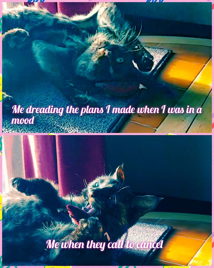 Struggles Of An Introvert