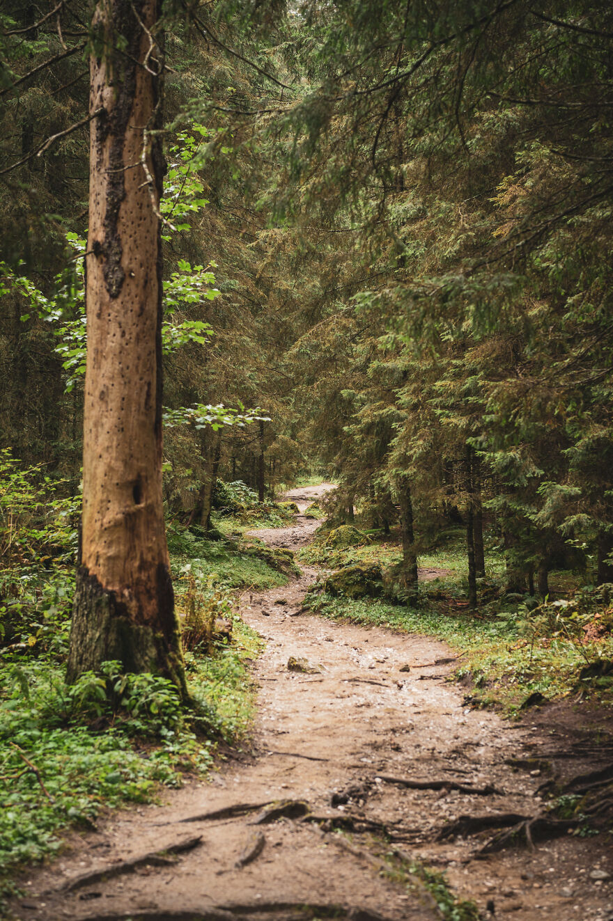 I Photographed The Mălăiești Cottage In Romania (10 Pics)