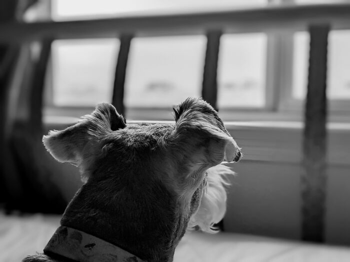 Wishing To Be Outside