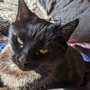 rosemary_gresiak avatar