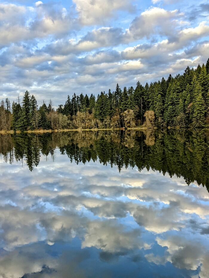 Lakamas Lake, Camas, Wa -- Happened Upon This Gorgeous Scene At The Tail End Of A Rain Storm