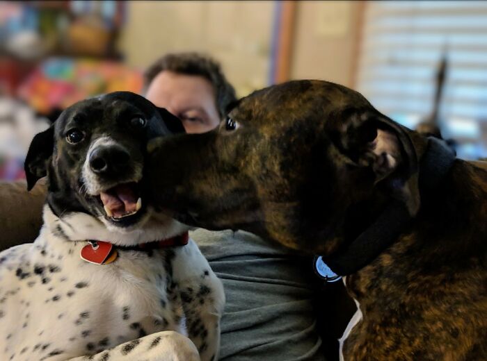 The "Kidiots" I Can't Choose Just One But These Goobers Make Me Smile And Laugh Daily