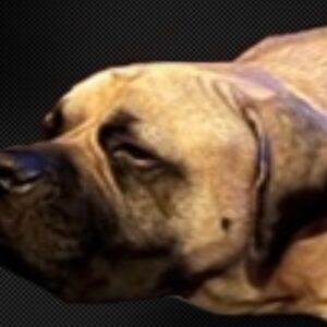 gemanimations avatar