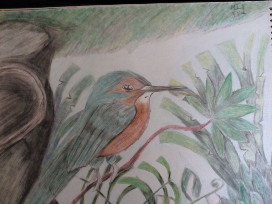 Some Of My Drawings Describing Myself( 10 Photos)