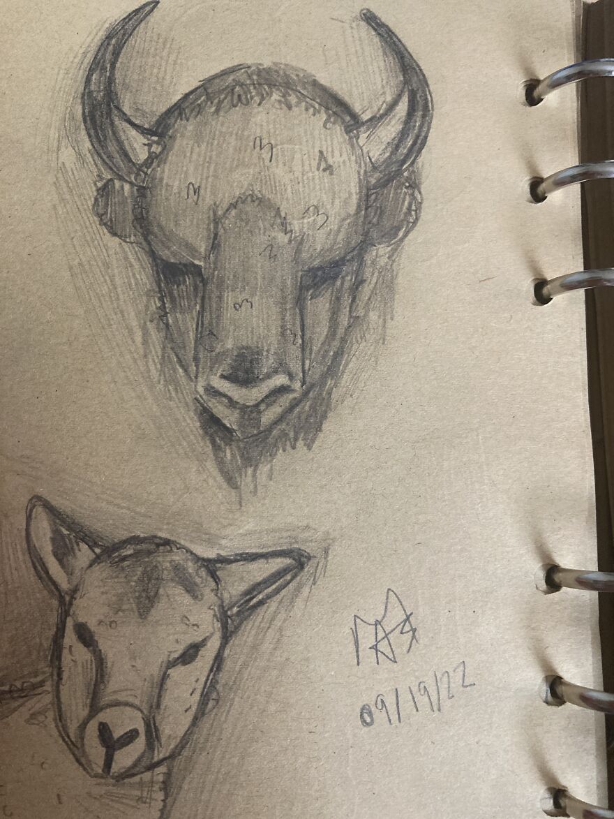 Some Lovely Little Animals