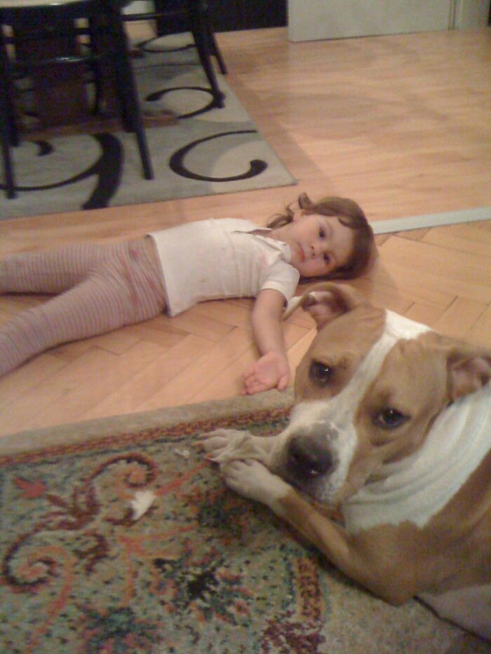 The 5 Most Crucial Life Lessons My Pitbull Dog Dina Taught Me (32 Pics)