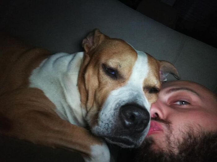 The 5 Most Crucial Life Lessons My Pitbull Dog Dina Taught Me (32 Pics)