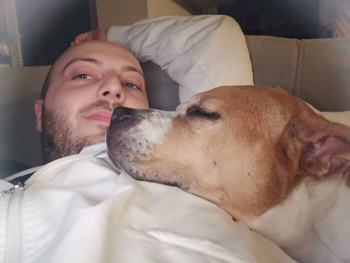 The 5 Most Crucial Life Lessons My Pitbull Dog Dina Taught Me (32 Pics)