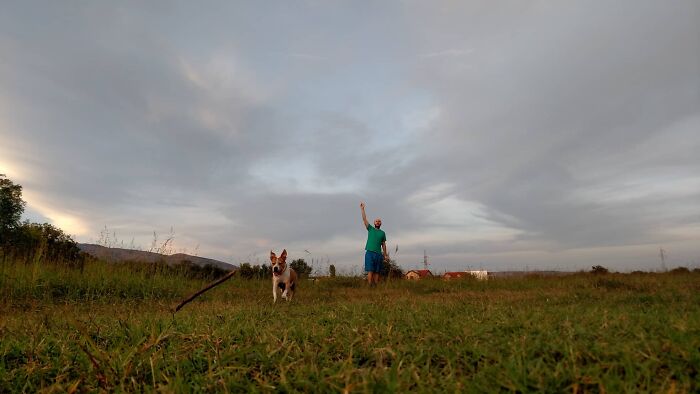 The 5 Most Crucial Life Lessons My Pitbull Dog Dina Taught Me (32 Pics)