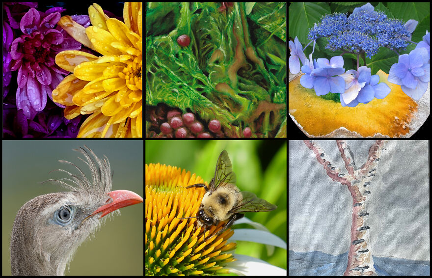 The Colors Of Nature Captured By 114 Artists