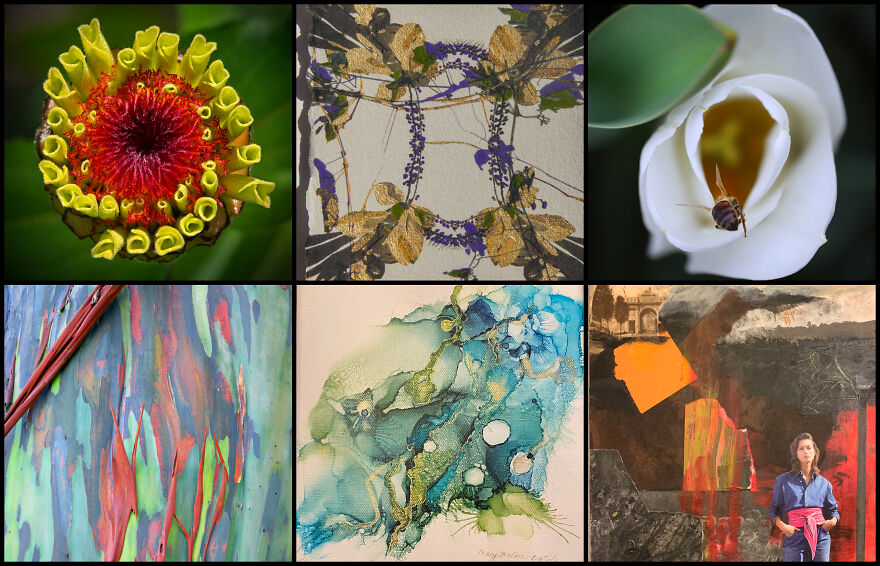 The Colors Of Nature Captured By 114 Artists