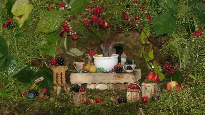 I Built A Scaled-Down Village For Wild Mice In My Garden, And They Love It I Built A Scaled-Down Village For Wild Mice In My Garden, And They Love It