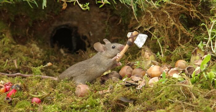I Built A Scaled-Down Village For Wild Mice In My Garden, And They Love It I Built A Scaled-Down Village For Wild Mice In My Garden, And They Love It