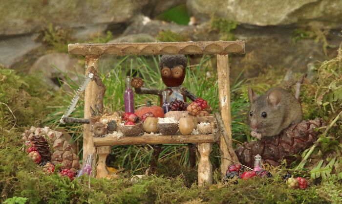 I Built A Scaled-Down Village For Wild Mice In My Garden, And They Love It I Built A Scaled-Down Village For Wild Mice In My Garden, And They Love It