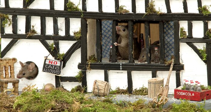 I Built A Scaled-Down Village For Wild Mice In My Garden, And They Love It I Built A Scaled-Down Village For Wild Mice In My Garden, And They Love It